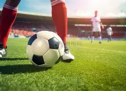 体育领域高,品质发展目,标或被纳入,球友会,球友会官方,球友会登录,球友会入口,球友会登录