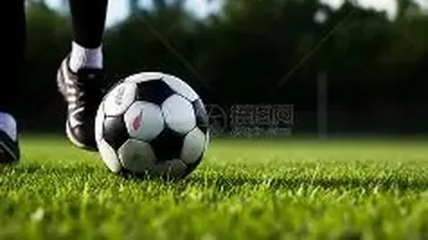 球友会 产品 072736 tya