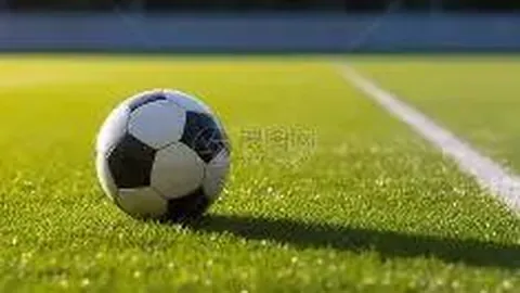 球友会 产品 133435 o4w